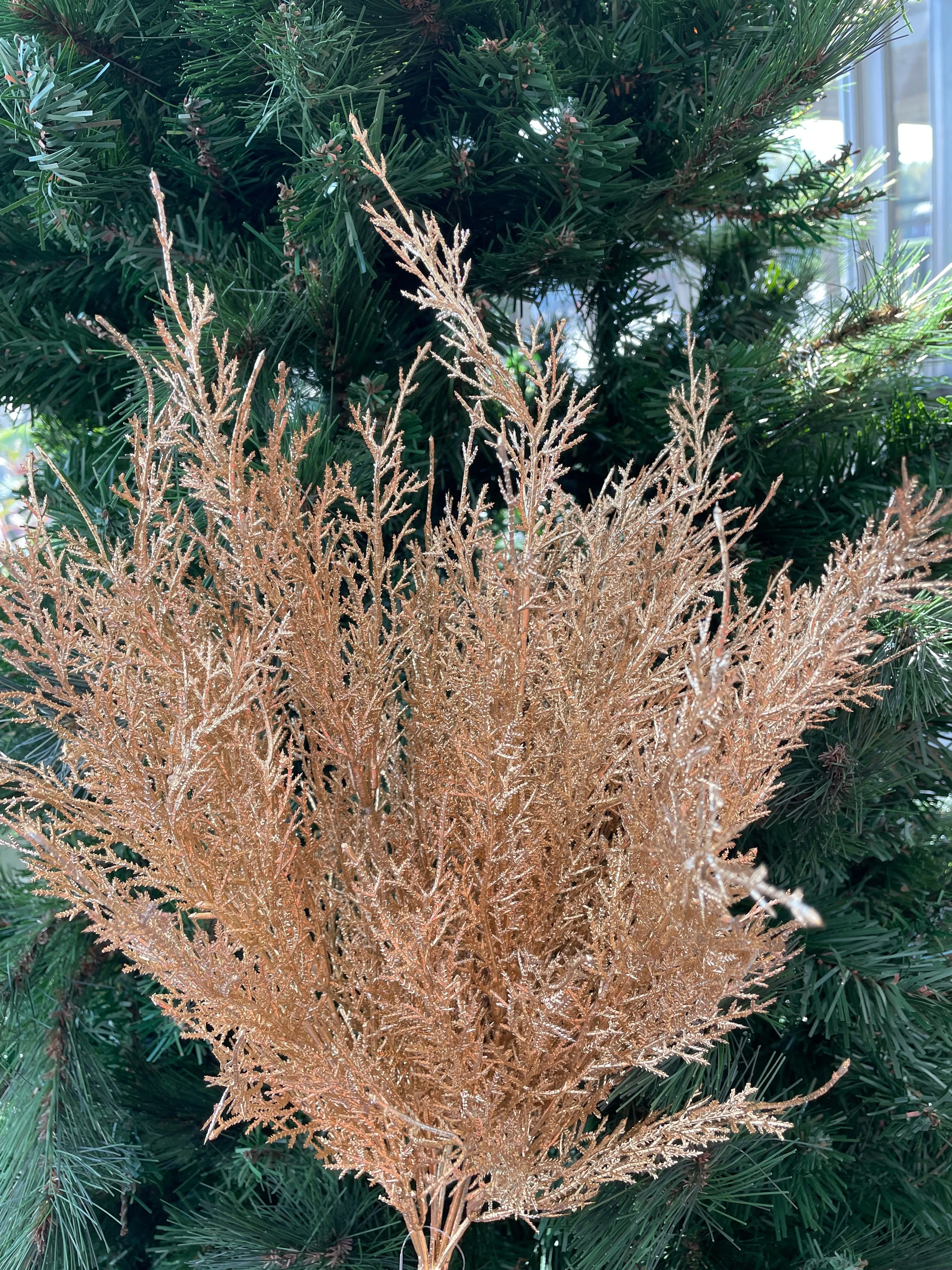 23" Holiday Cypress Bush