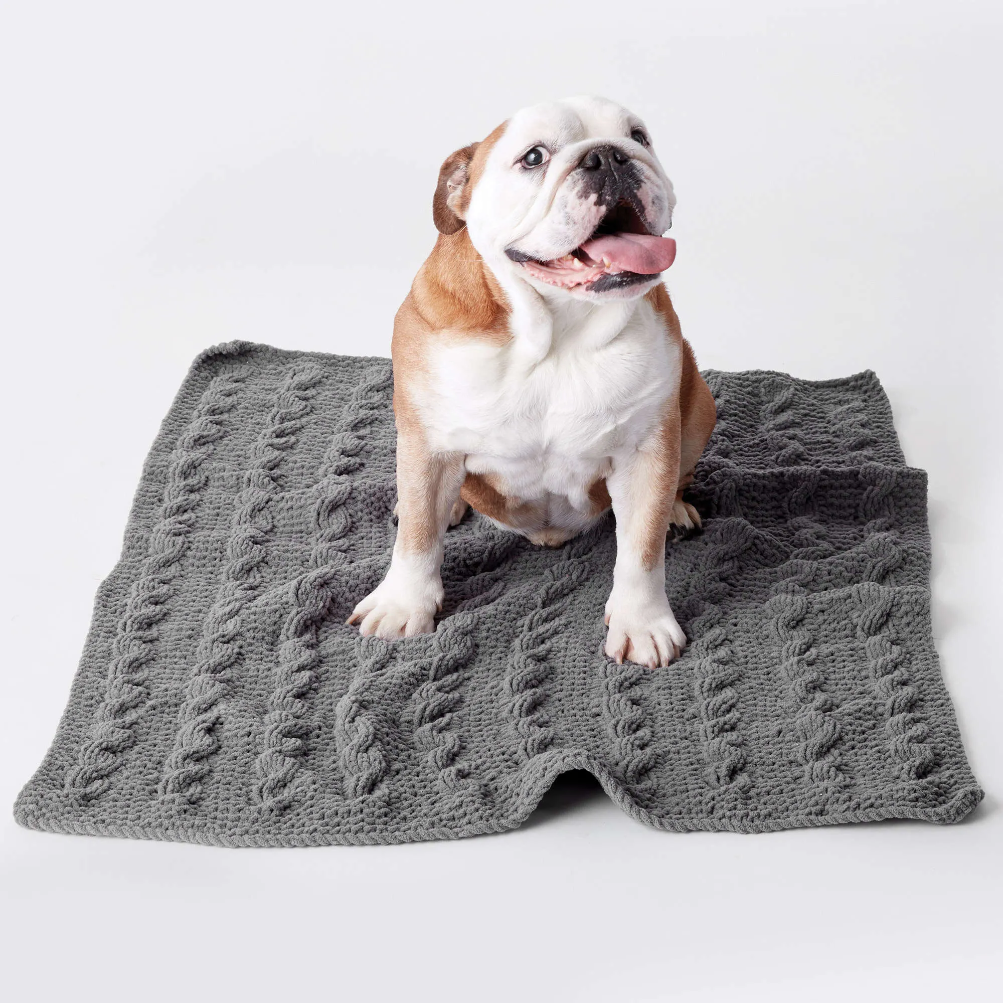 Bernat Cozy Cables Knit Blanket