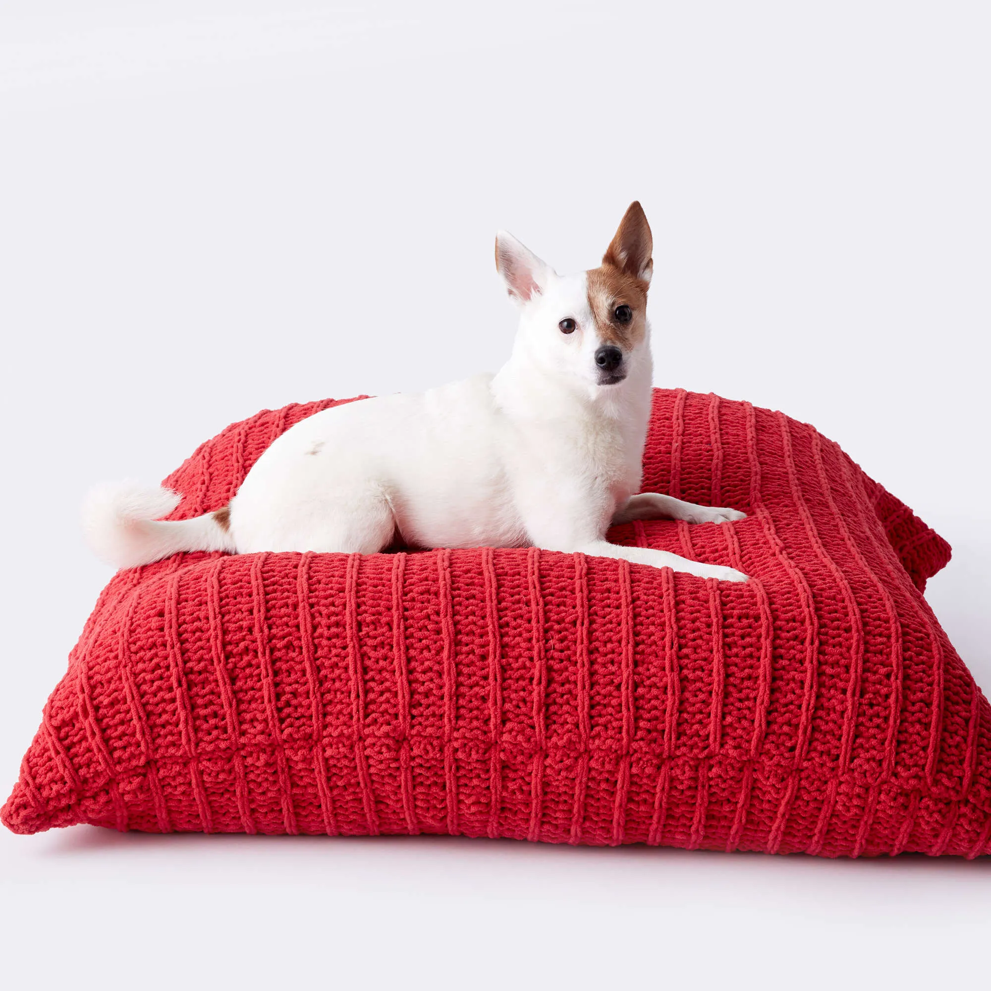 Bernat Easy Knit Pet Bed