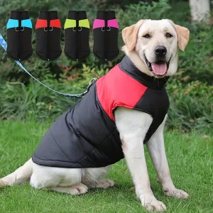 Cozy Winter Dog Vest with D Ring for Walks