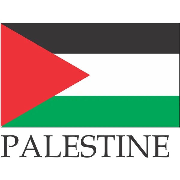 Palestine Embroidered Flag Badge