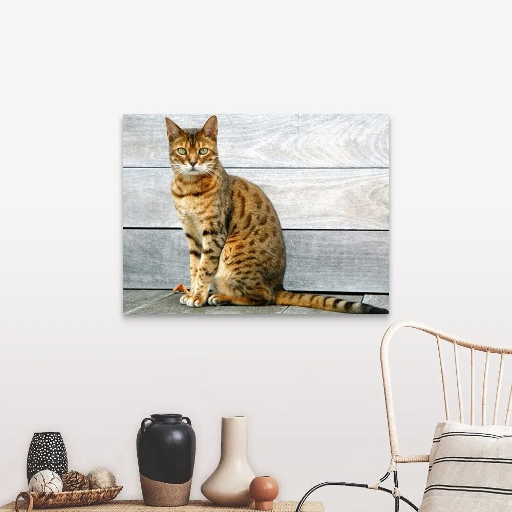 "Bengal cat sitting on weathered deck." Canvas Wall Art