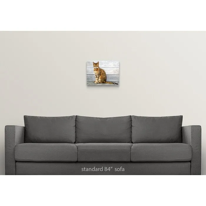 "Bengal cat sitting on weathered deck." Canvas Wall Art