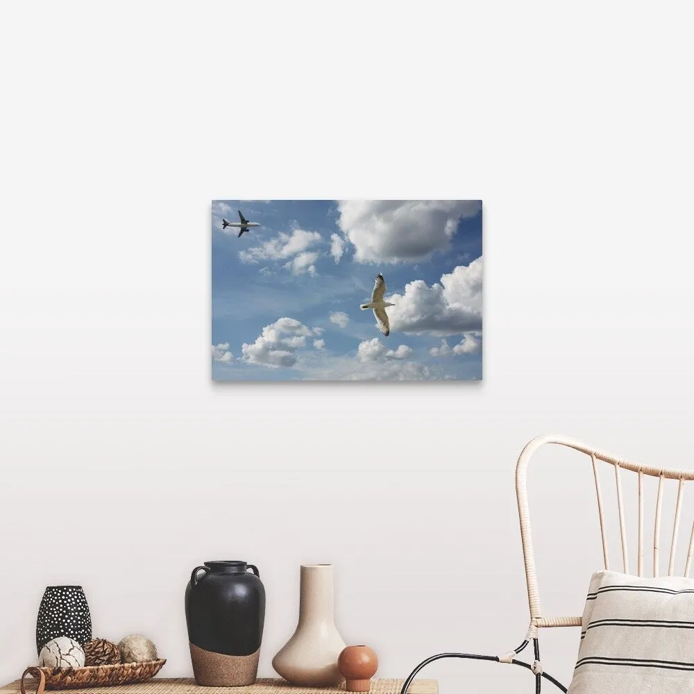 "Bird and air plane fly together against clouds in sky, New York." Canvas Wall Art