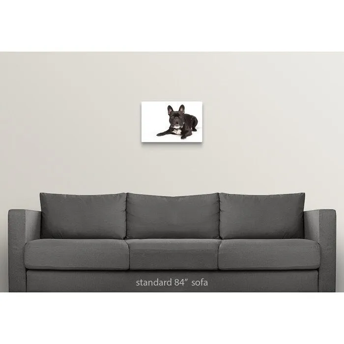 "Black French Bulldog lying down" Canvas Wall Art