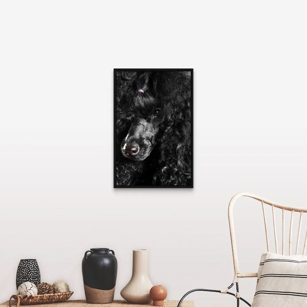 "Black Poodle" Black Float Frame Canvas Art