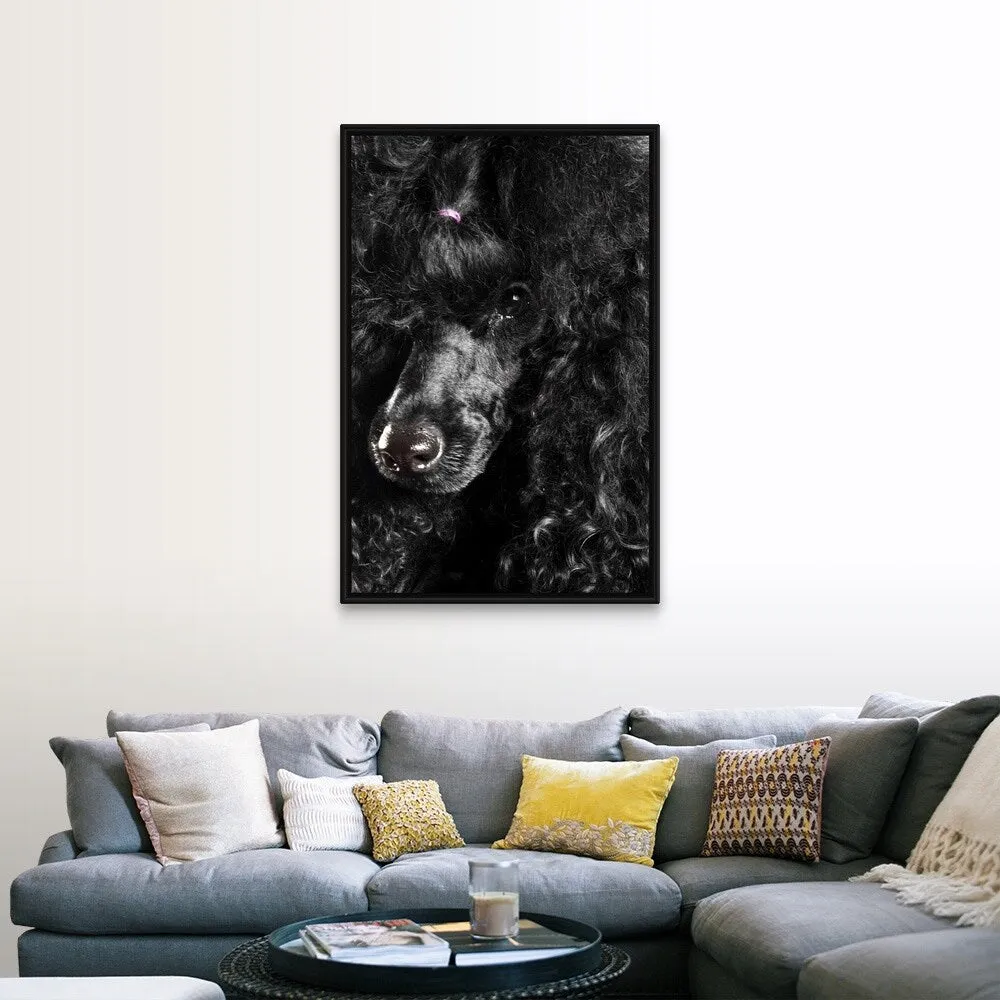 "Black Poodle" Black Float Frame Canvas Art