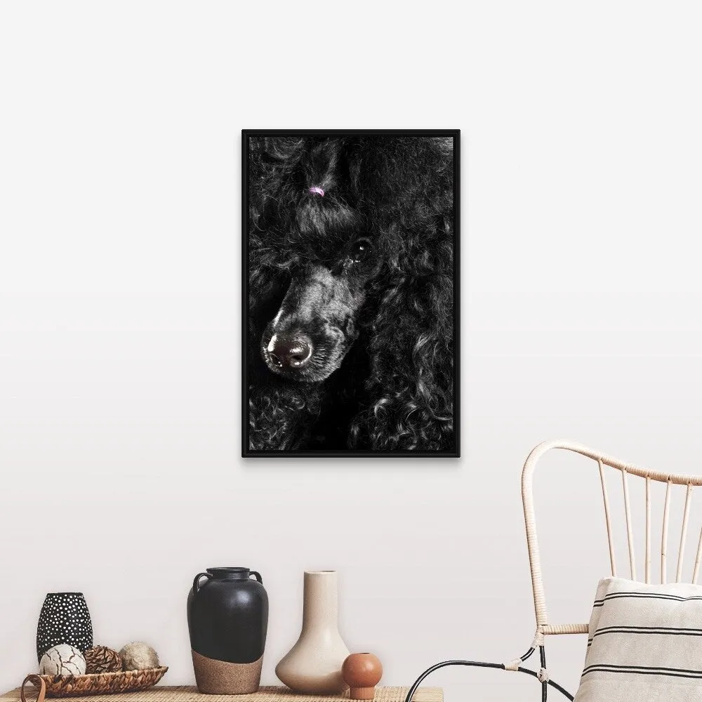 "Black Poodle" Black Float Frame Canvas Art