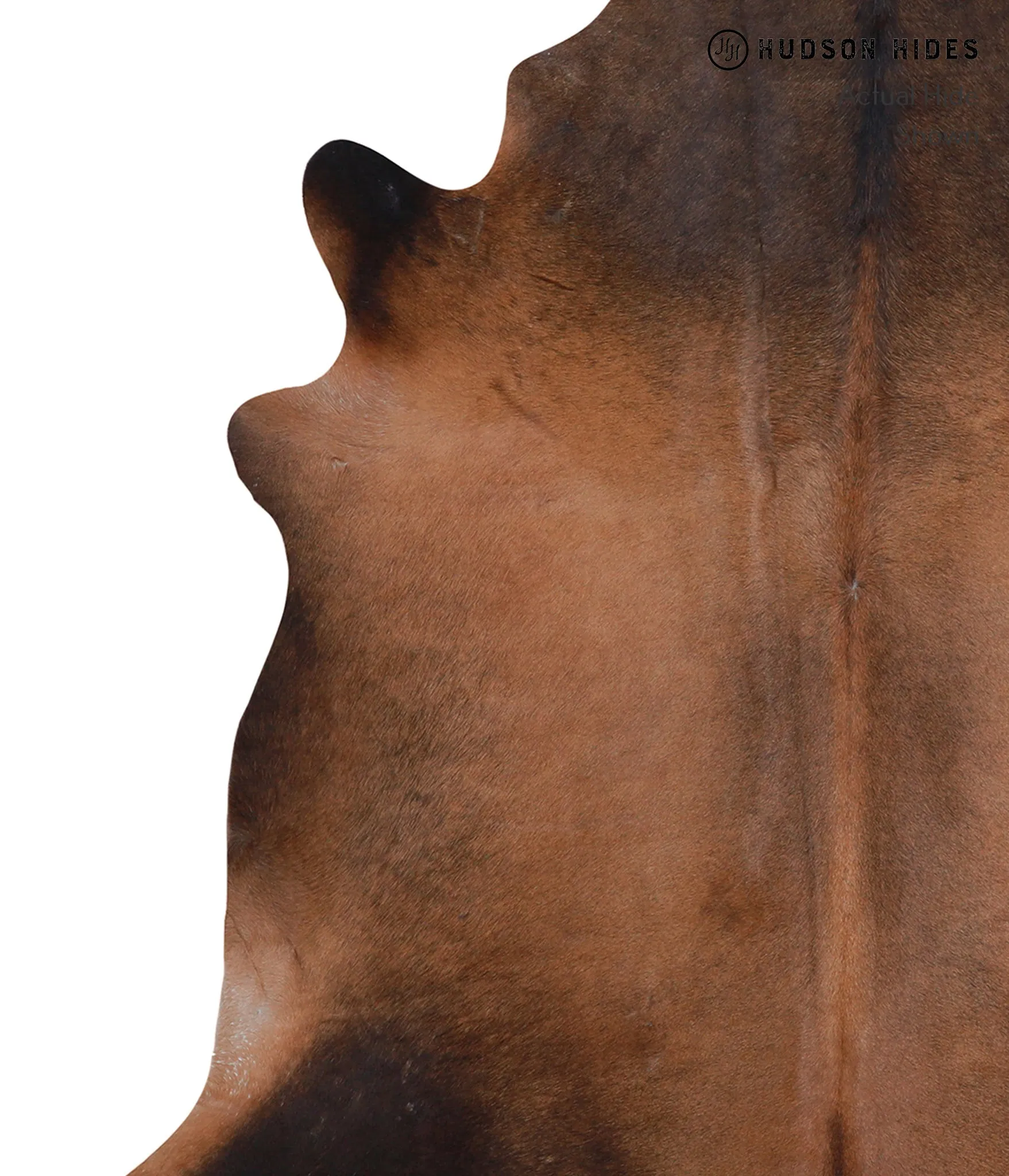 Warm Caramel Large Brazilian Cowhide Rug 5'11"H x 6'2"W #A4121 by Hudson Hides