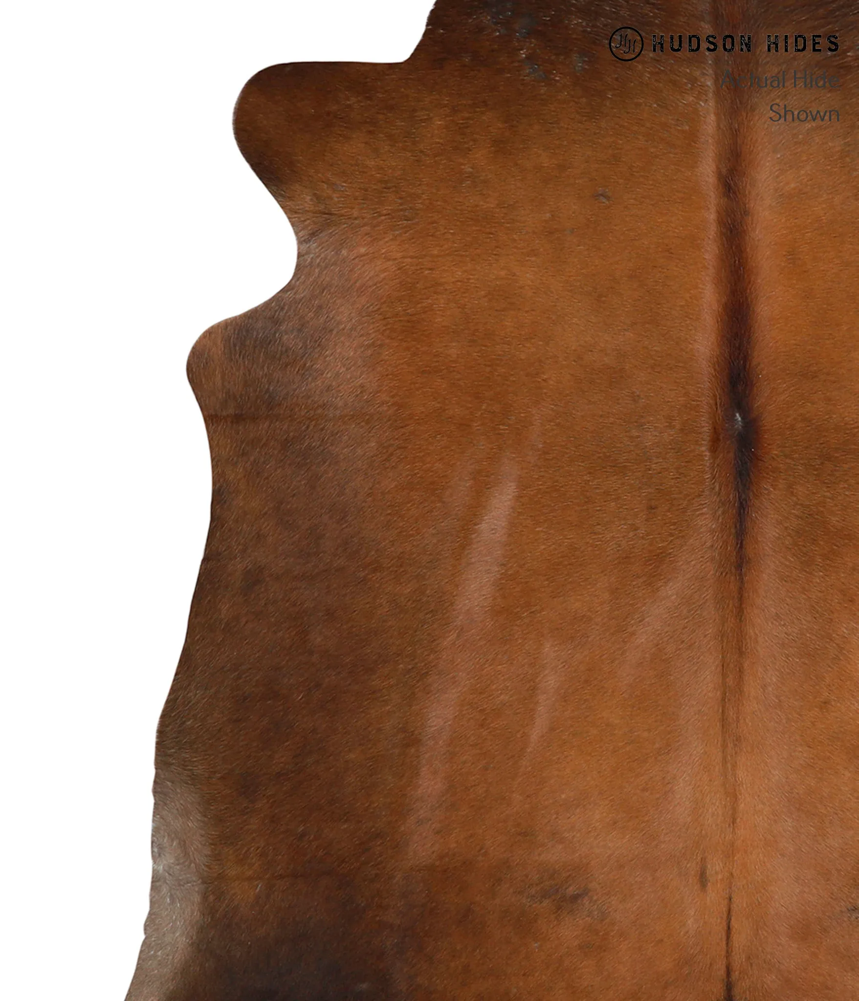 Warm Caramel Large Brazilian Cowhide Rug 6'1"H x 6'0"W #85396 by Hudson Hides